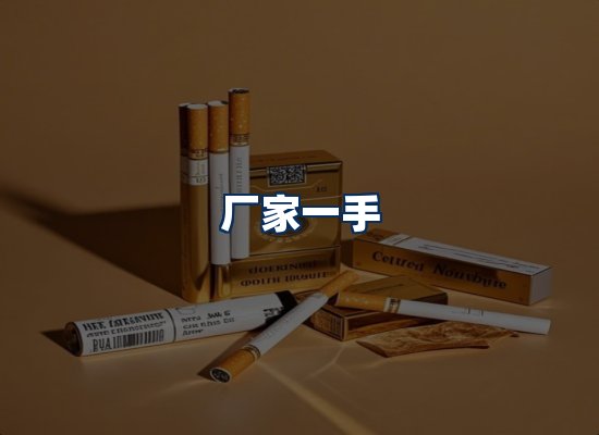 专业团队办公环境
